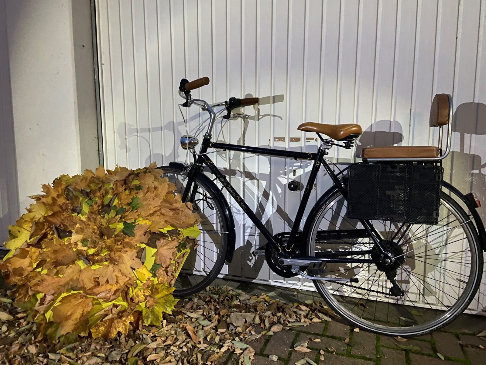 connect.de Calenberger Online News Wem gehört das Fahrrad?