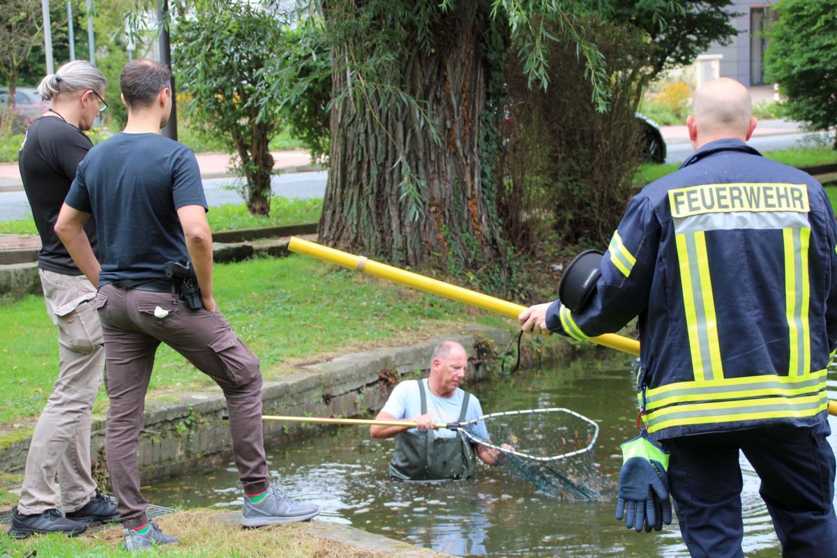con-nect.de - Calenberger Online News: Polizeibekannte Jugendliche