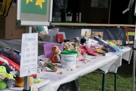 Tombola bei Hunderennen